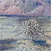 Frosty Maple, 9 1/2 x 10 1/4 inches. $325