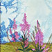 Fireweed and Sky: 8 x 10 framed to 10 x 12 inches. $200.