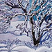 Twilight Maple III. 5 x 7 inches, framed to 7 x 9 inches. $90.