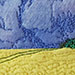 Canola and Trail II. 5 x 7 inches, framed to 9 x 7 inches. $90.
