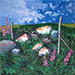 Ditch Still Life II. 8 x 8 x 3/4 inches, stretchers. $600.