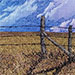 Pasture at Dusk III. 8 x 10 inches, framed to 11 x 13 inches. $180.
