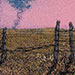 Twilight Pasture III. 5 x 7 inches, framed to 7 x 9 inches. $90.