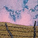 Twilight Pasture IV. 5 x 7 inches, framed to 7 x 9 inches. $90.