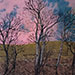 November Gloaming. 24 x 20 x 3/4 inches, stretchers. $1800.